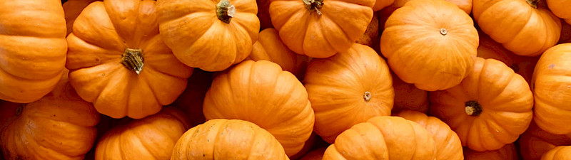 Kürbisse