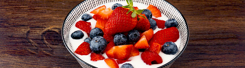Joghurt & Milchprodukte