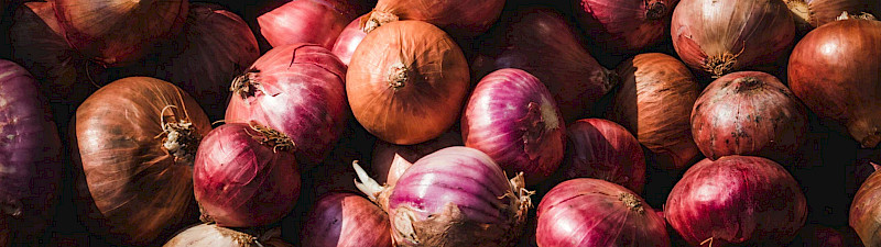 Zwiebeln